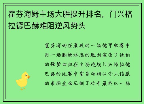 霍芬海姆主场大胜提升排名，门兴格拉德巴赫难阻逆风势头